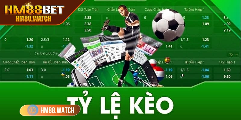 Các sảnh cược rất đa dạng