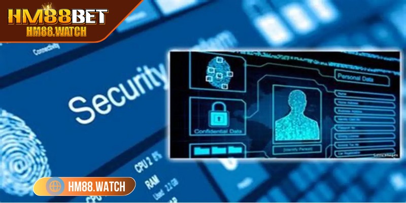 Thông tin cung cấp khi đăng ký phải chuẩn xác