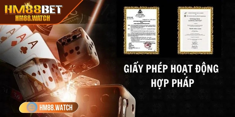 Giấy phép hoạt động HM88 tạo niềm tin cho đối tác