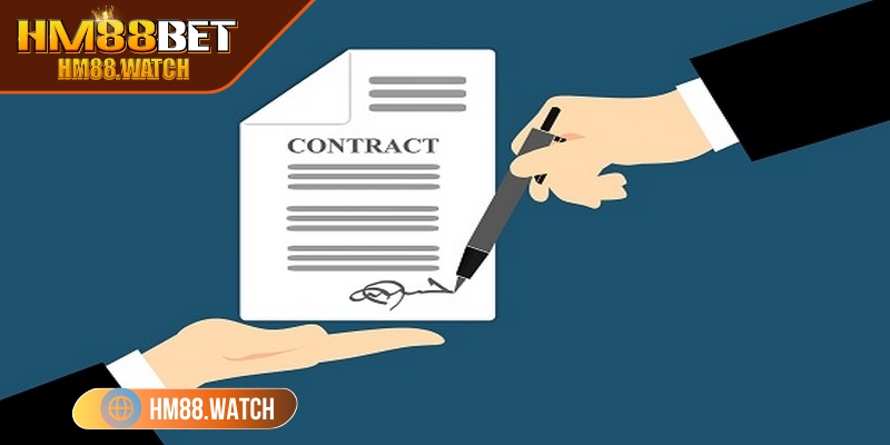 Nền tảng sẽ không chịu trách nghiệm cho khoản thua lỗ