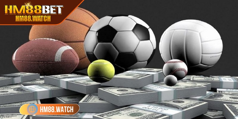 Nên bỏ vốn chốt cửa dự đoán kết quả hợp lý