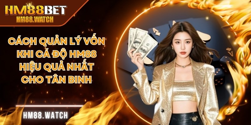 Cách quản lý vốn khi cá độ HM88