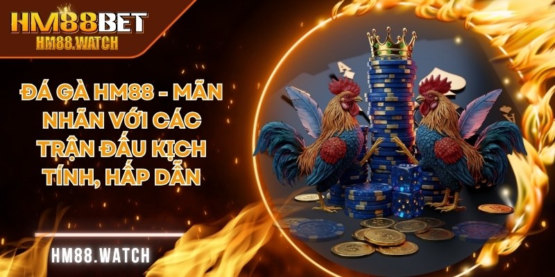Đá gà HM88